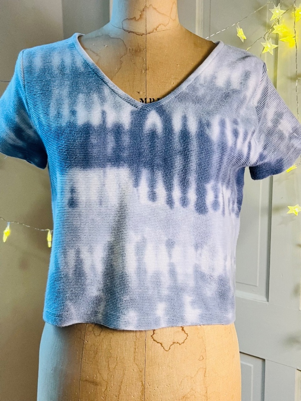 Cropped V Neck Top